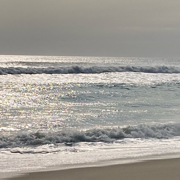 Meet your Posher, Danielle - Picture 1 of 1